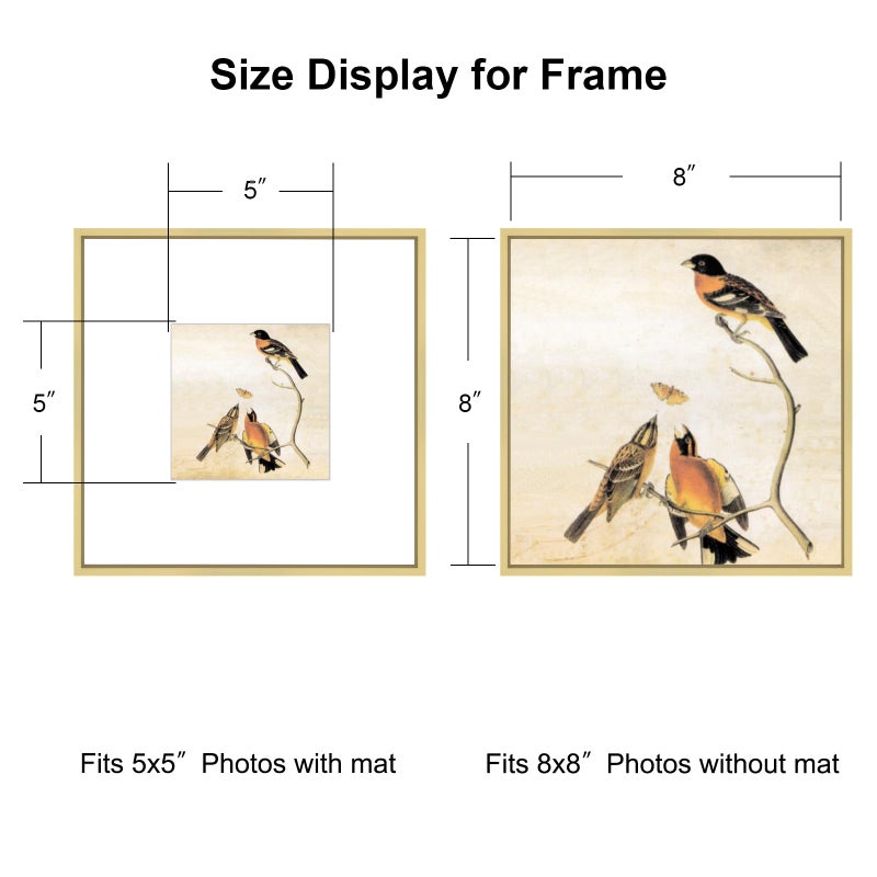BKABOT 8X8 Picture Frame  Brass Metal Square Photo Frames With Hd Glass  Fits 5X5 With Mat Or 8 X 8 Without Mat  Display For Wall And Table  1 Pack - Image 2