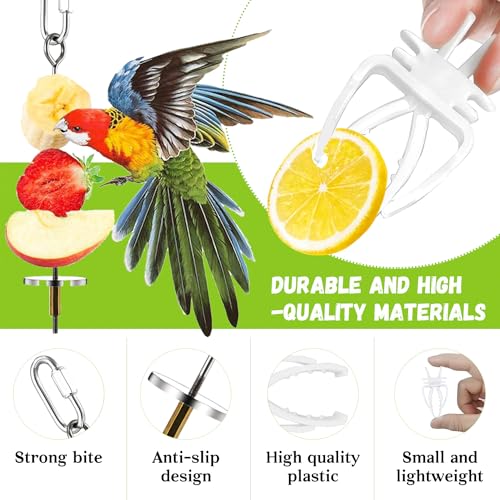 JIURUN 6 PCS Bird Treats Skewer, Parakeet Hanging Food Holder, Stainless Steel Fruit Vegetable Stick Holder, Cockatoo Cockatiel Cage Treating Tool, Hanging Foraging Bird Toys - Image 3