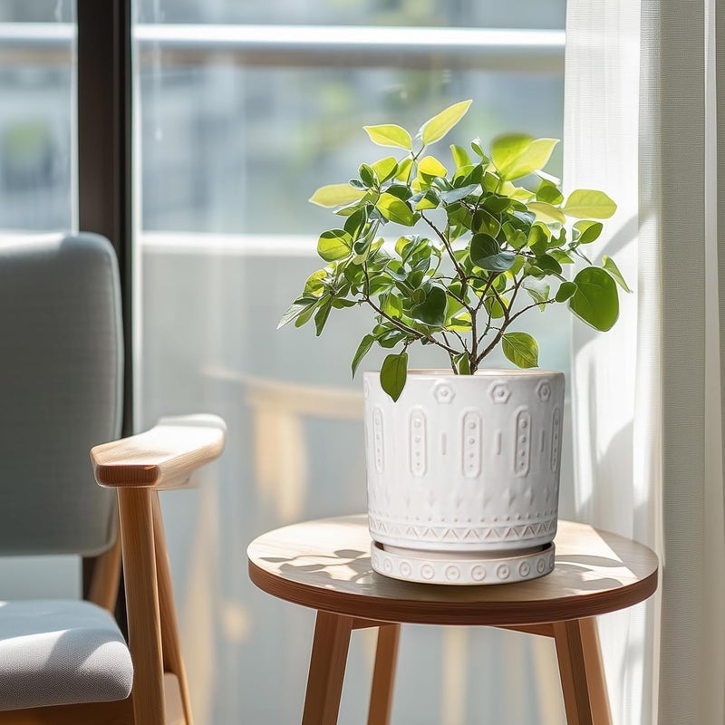 Eightpot Ceramic Planter for Indoor Plants - 8 Inch Plant Pot Outdoor Flower Pot with Drainage Holes and Saucer Modern Round Planter Succulent Pot for Home Garden Decor White - Image 2