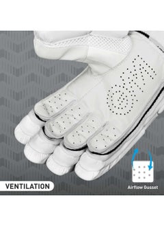 505 Cricket Batting Gloves - pzsku/Z6D63061621DC2C856056Z/45/_/1701948410/a3a667fb-7872-4ad9-8c74-262fa9334ead