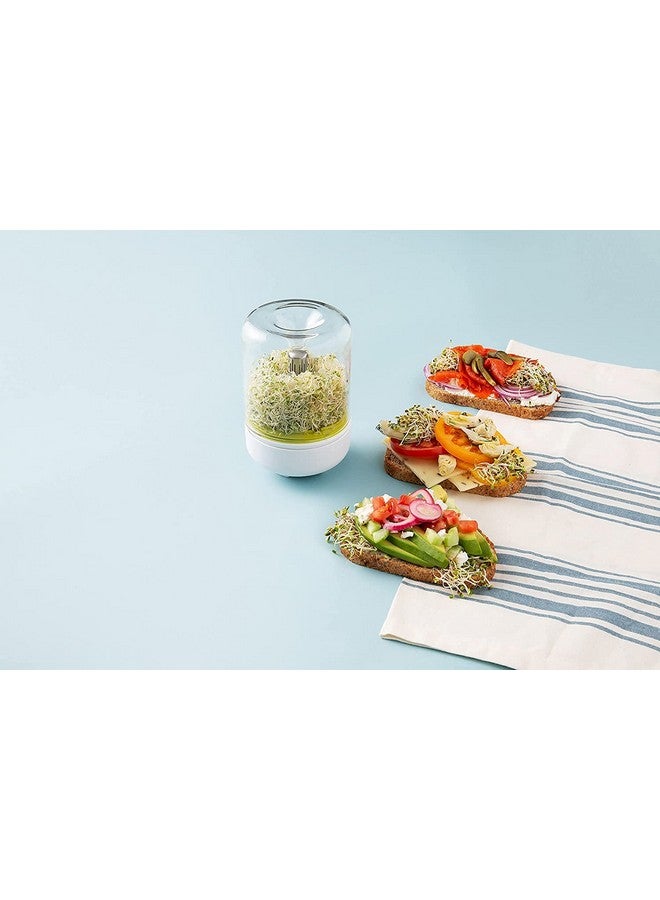 Envop Plastic Healthy Sprout Maker Countertop Sprouter - Image 3
