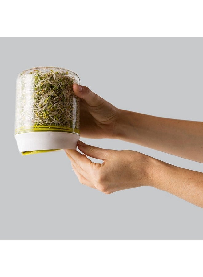 Envop Plastic Healthy Sprout Maker Countertop Sprouter - Image 4