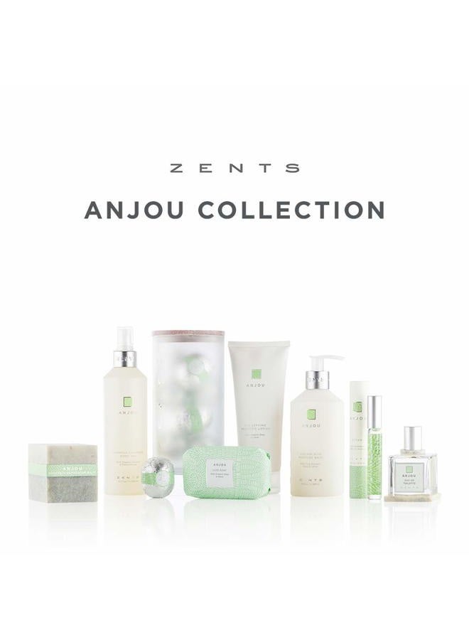 zents Ageless Aloe Moisture Wash, Anjou, With Fruit Extracts, Shea Butter & Lotus, 10 fl oz / 300 ml - Image 4
