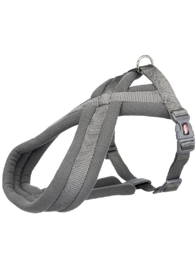 تريكسي حزام سياحة ممتاز للكلاب مصنوع من حشوة من الصوف، قابل للتعديل وخفيف الوزن، حلقة قوية على شكل حرف D تحافظ على الحزام والمقود في مكانهما، مقاس S: 35-65 سم/20 مم، جرافيت - Image 1