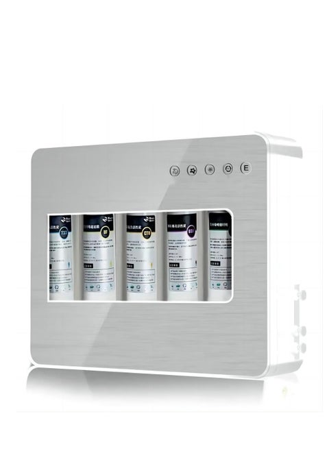 5 Stages Water Purifier, Water Filter for Drinking, Water Filtration System for Municipality Water (SILVER)