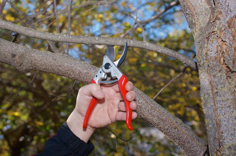 Corona BP 6360 Forged Steel Aluminum Handles Angled Bypass Hand Pruner - 1 inch Cut Capacity Stem and Branch Garden Shears, Red - Image 2