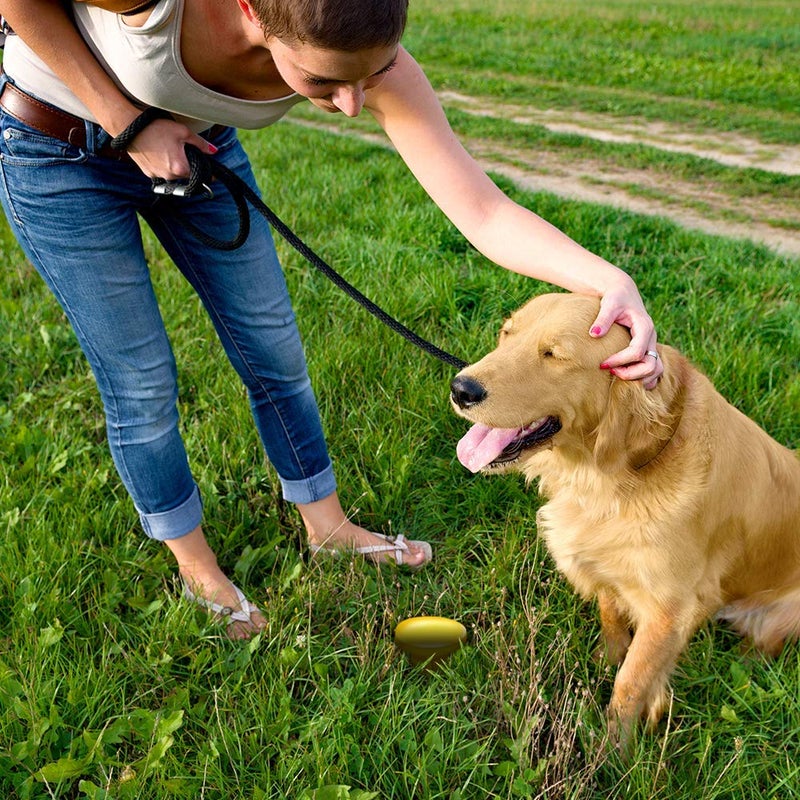Simple Solution Pee Post Outdoor Potty Training Aid | Pheromone-Infused Yard Stake with GO HERE™ Technology | 13 Inch Stake - Image 4