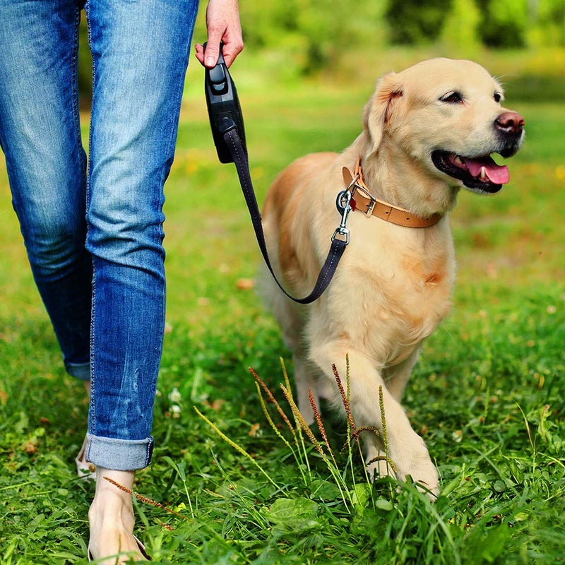 Simple Solution Pee Post Outdoor Potty Training Aid | Pheromone-Infused Yard Stake with GO HERE™ Technology | 13 Inch Stake - Image 3