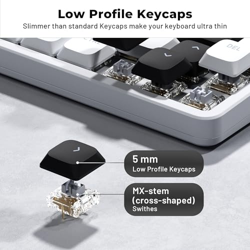 GMKWTL XVX Low Profile White Keycaps, Shine Through Keycap Set, Double Shot PBT Key caps, Bow Keyboard Keycaps Compatibility for 60% 75% 80% 85% 100% MX Switches Mechanical Keyboard - Image 4