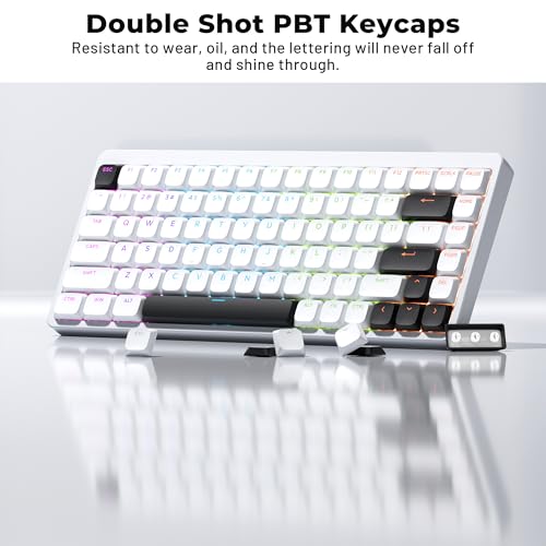 GMKWTL XVX Low Profile White Keycaps, Shine Through Keycap Set, Double Shot PBT Key caps, Bow Keyboard Keycaps Compatibility for 60% 75% 80% 85% 100% MX Switches Mechanical Keyboard - Image 5