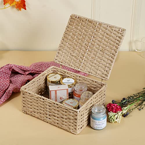 AKWAY wicker water hyacinth kauna grass bamboo cane Storage Basket with Lids Rectangular Handwoven Wicker Organizer Baskets Desktop Storage Box Rattan Container Desk Basket Bins(10"L x 8"W x 4"H) - Image 1
