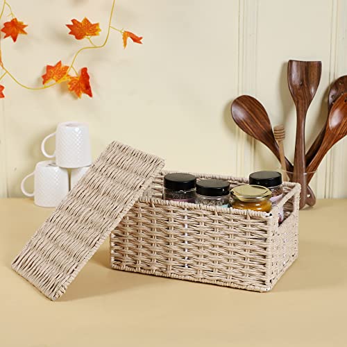 AKWAY wicker water hyacinth kauna grass bamboo cane Storage Basket with Lids Rectangular Handwoven Wicker Organizer Baskets Desktop Storage Box Rattan Container Desk Basket Bins(10"L x 8"W x 4"H) - Image 2