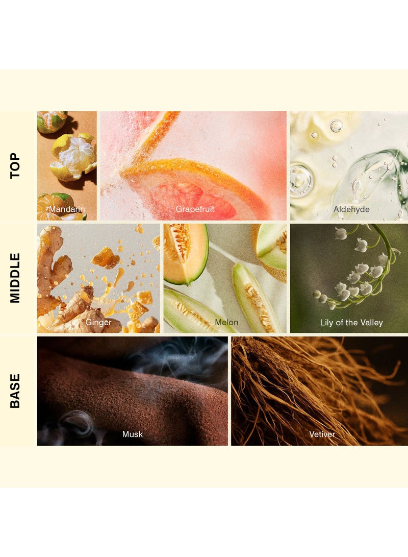 آيسنت ISCENT | Citrus Elixir –إعادة تعبئة الزيت لمعطر إينزو الصغير -10مل|عطر منعش من الجريب فروت و البطيخ مع المسك للمنزل و السيارة|استمتع برائحة الحامض ممزوجة بفخامة الأخشاب تحيي الروح - Image 2