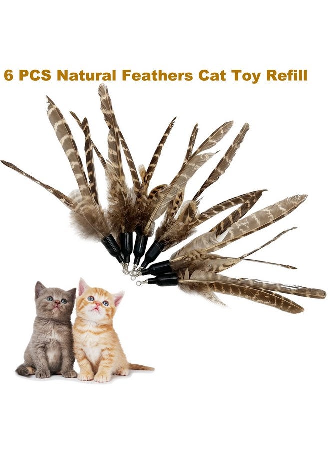 TIENAILING Cat Feather Toys Refills Cat Wand Replacement, 6 PCS Handmade Natural Da Bird Feathers Refill, Cat Toy Feather Replacement for Indoor Cats (C) - Image 2