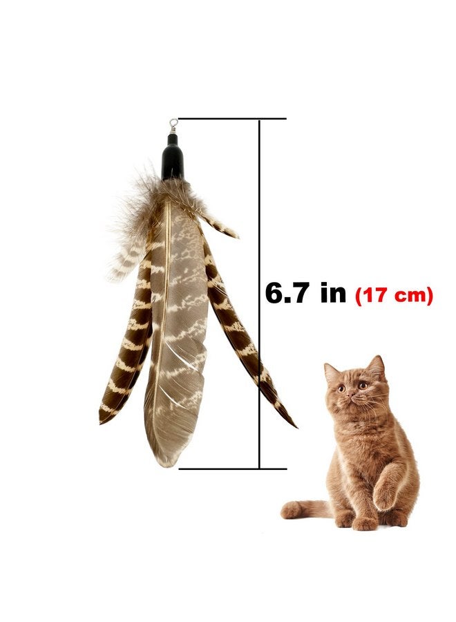 TIENAILING Cat Feather Toys Refills Cat Wand Replacement, 6 PCS Handmade Natural Da Bird Feathers Refill, Cat Toy Feather Replacement for Indoor Cats (C) - Image 4