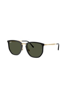 Ray-Ban 0Rb4451 Irregular Sunglasses  - Image 1