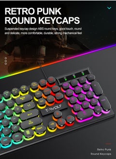 T-WOLF Typewriter Style Mechanical Gaming Keyboard and Mouse Combo RGB Backlit Wired with Switch Retro Round Keycap 104 Keys Keyboard  Cool Light Up Keyboard and Mouse for Gaming,Work,Mac,PC,Windows  - Image 4