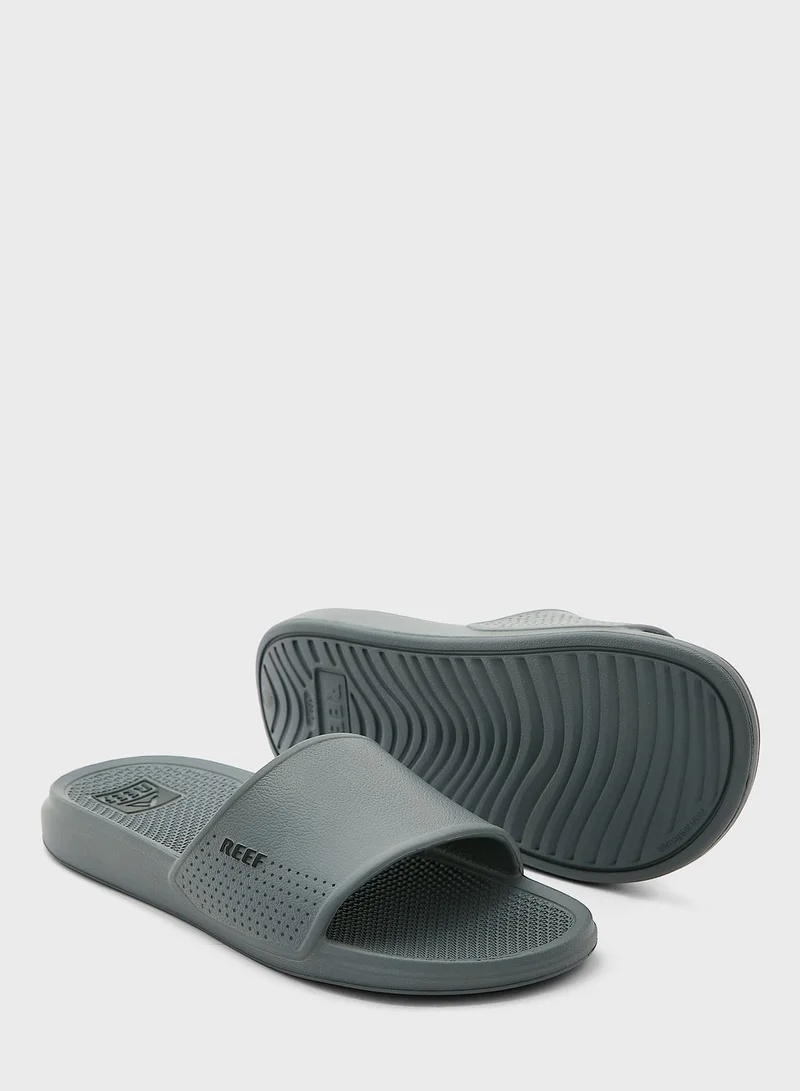 Reef Oasis Slides