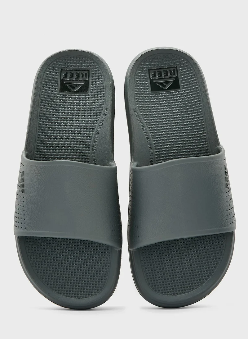Reef Oasis Slides