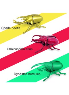 Creative Wind-Up Beetle Toy for Science Fun3 beetle 3 beetle - pzsku/Z6D69E3D0B753E0BA6022Z/45/_/1725160087/c7190b58-14f7-4350-a0a3-fde2f573128e