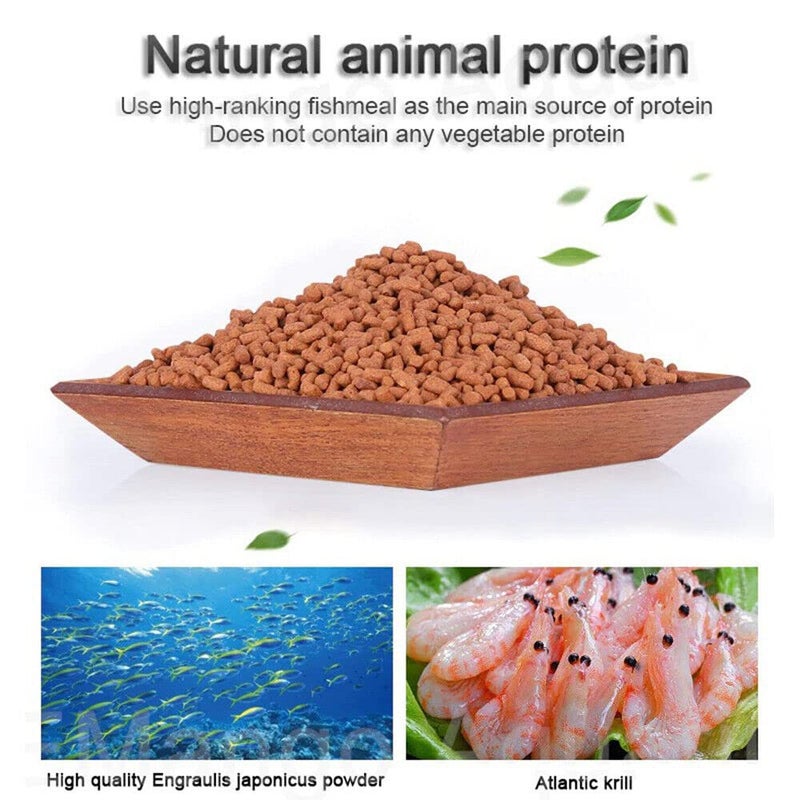 VAYINATO Ocean Free AR-G1 Arowana Carnivorous Pellet (Original) Fish Food, 250G | Daily Feed/Floating Type - Image 3