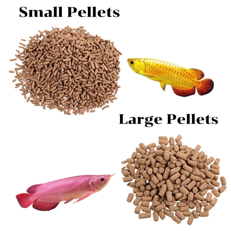 VAYINATO Ocean Free AR-G1 Arowana Carnivorous Pellet (Original) Fish Food, 250G | Daily Feed/Floating Type - Image 2