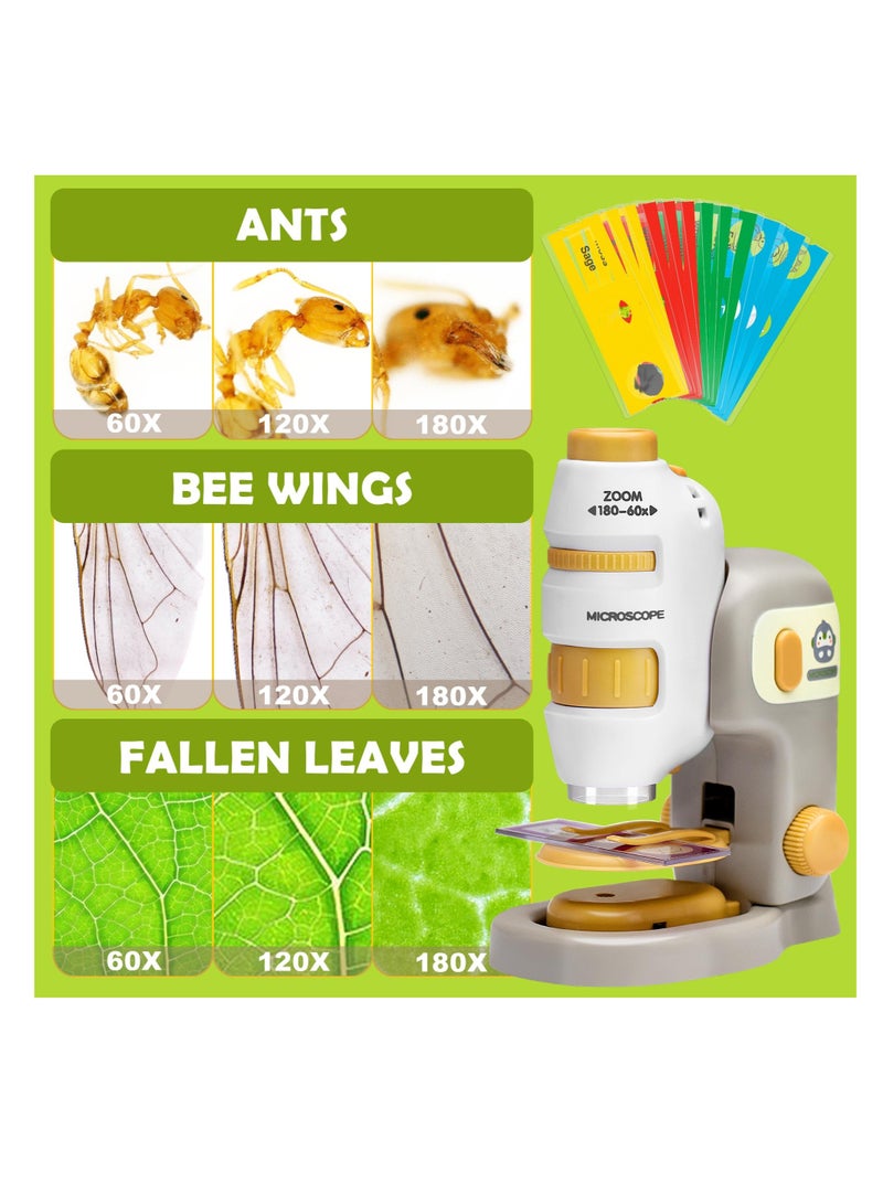 SOLARAE Pocket Microscope, 2 in 1 Detachable Microscope, 60-180x Mini Portable Microscope with 12pcs Specimens, Portable Handheld Microscope, for Students Adults Observation, Lab Study, STEM Educational - Image 2