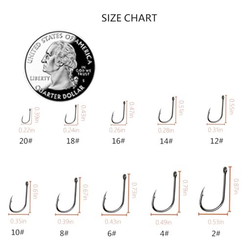 AMHDV 300Pcs 500Pcs 1000Pcs Small Fishing Hooks 10 Different Sizes Tiny Fish Hook Set for Freshwater 300pcs 2 to 20 - Image 3