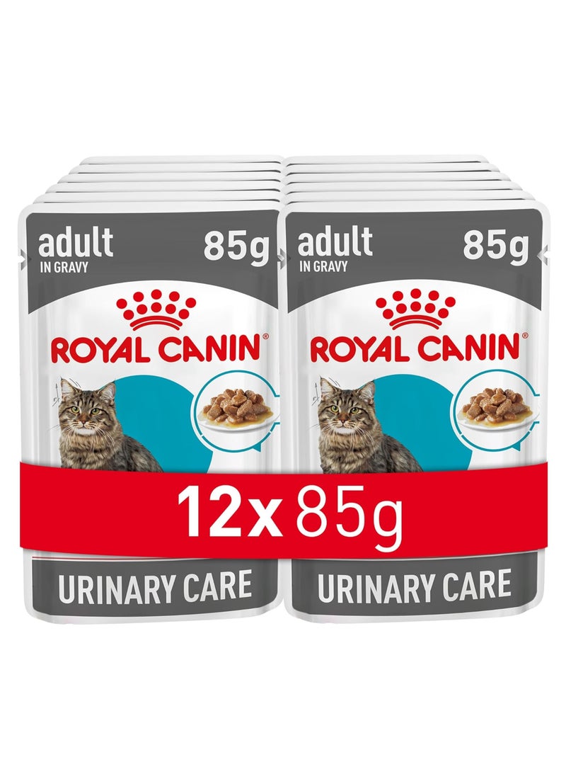 ROYAL CANIN Feline Care Nutrition Urinary Care Wet Food Pouches - Image 1