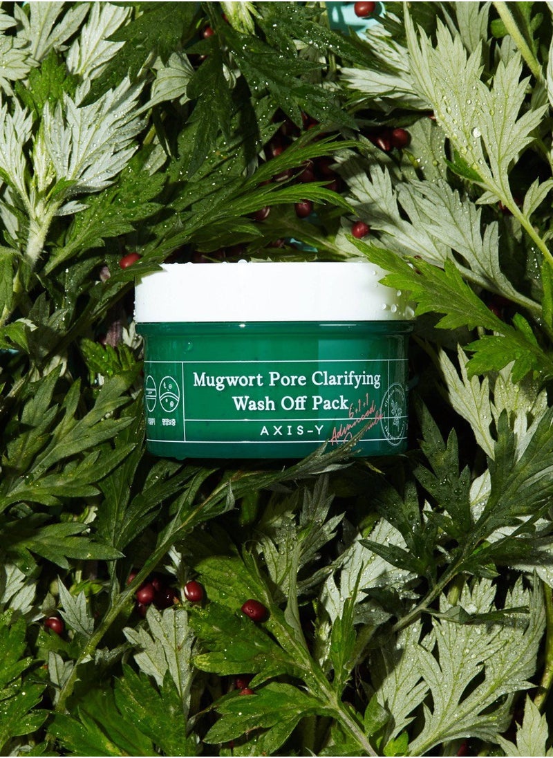 Mugwort Pore Clarifying Wash Off Pack 100ml