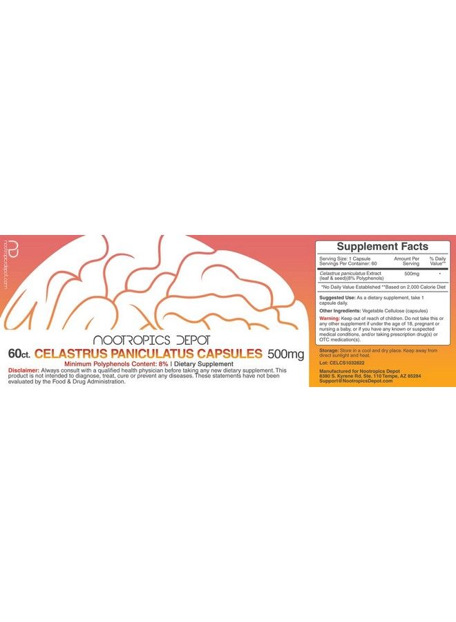 Celastrus Paniculatus Extract Capsules ; 500Mg ; 60 Count ; Minimum 8% Polyphenols ; Intellect Tree