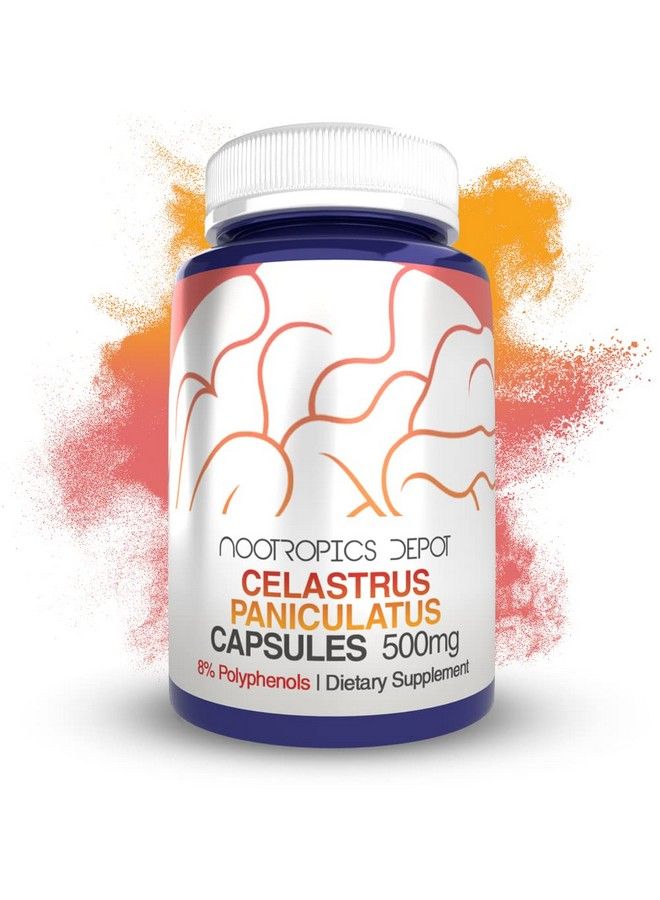 Celastrus Paniculatus Extract Capsules ; 500Mg ; 60 Count ; Minimum 8% Polyphenols ; Intellect Tree