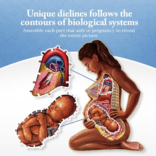 Genius Games Pregnant Mother Anatomy Jigsaw Puzzle | 488-Piece Science Accurate Adult Puzzle | Educational and Entertaining 3ft x 2ft Poster Size Puzzle | Ideal Gift for Mothers, Educators & Medical Professionals - Image 3