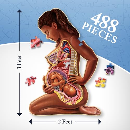 Genius Games Pregnant Mother Anatomy Jigsaw Puzzle | 488-Piece Science Accurate Adult Puzzle | Educational and Entertaining 3ft x 2ft Poster Size Puzzle | Ideal Gift for Mothers, Educators & Medical Professionals - Image 5