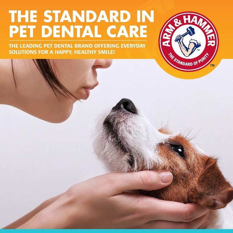 for Pets Clinical Care Dental Enzymatic Toothpaste for Dogs | Soothes Inflamed Gums | Safe for Puppies | Fresh Breath Vanilla Ginger - 72 Pack - Image 5