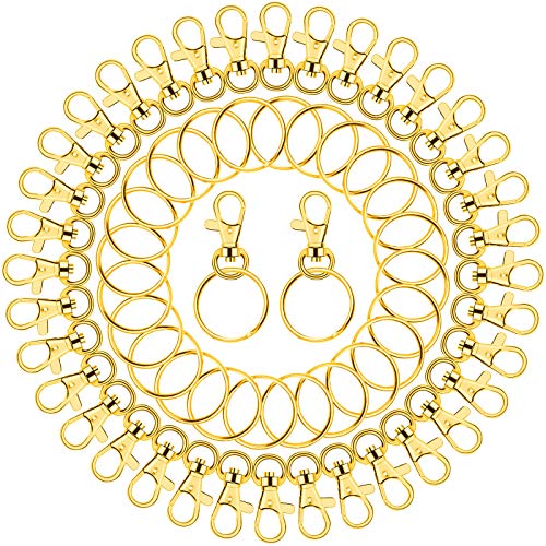 PAXCOO Gold Keychain Rings for Craft, Paxcoo 100pcs Keychain Hardware Kit Includes 50Pcs Key Chain Hooks and 50pcs Key Rings, Bulk Keychain Making Supplies for Resin Craft, Acrylic Blanks - Image 1