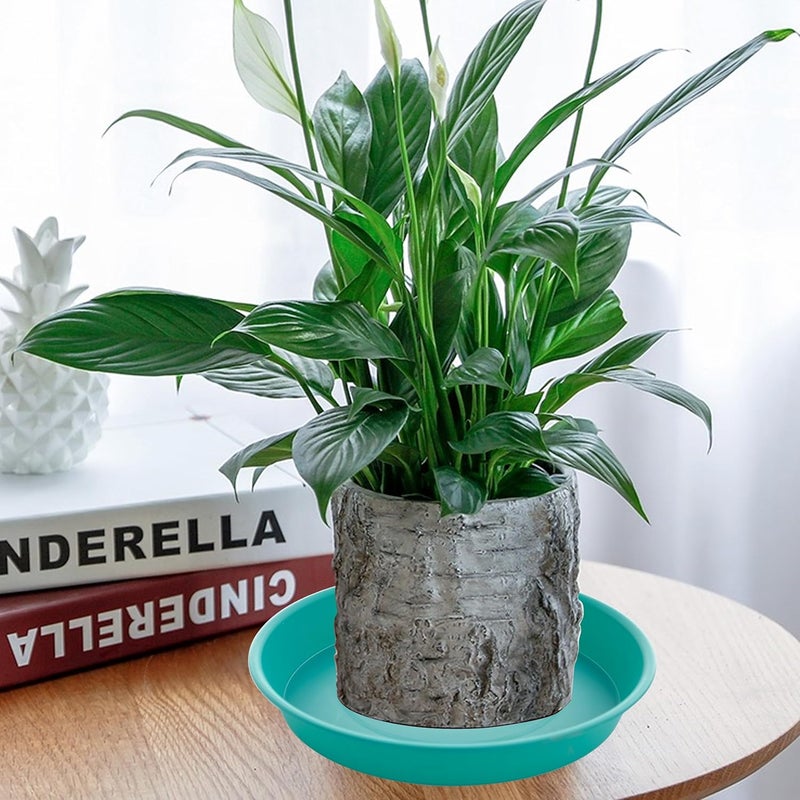 Bleuhome 6 Pack of 10 inch Plant Saucer Blue, Heavy Duty Plastic Plant Saucer 10 inch Round, Flower Plant Saucers for Indoors, Plant Trays for Planter 8"/9"/10" (10", Teal) - Image 3
