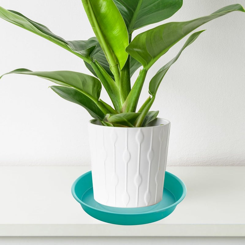 Bleuhome 6 Pack of 10 inch Plant Saucer Blue, Heavy Duty Plastic Plant Saucer 10 inch Round, Flower Plant Saucers for Indoors, Plant Trays for Planter 8"/9"/10" (10", Teal) - Image 5