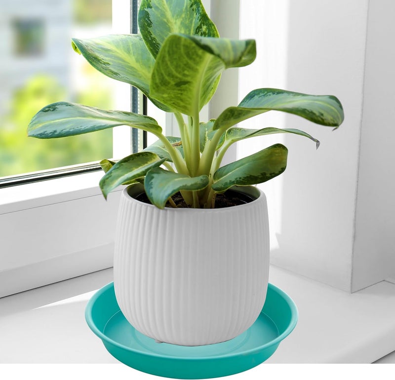 Bleuhome 6 Pack of 10 inch Plant Saucer Blue, Heavy Duty Plastic Plant Saucer 10 inch Round, Flower Plant Saucers for Indoors, Plant Trays for Planter 8"/9"/10" (10", Teal) - Image 4