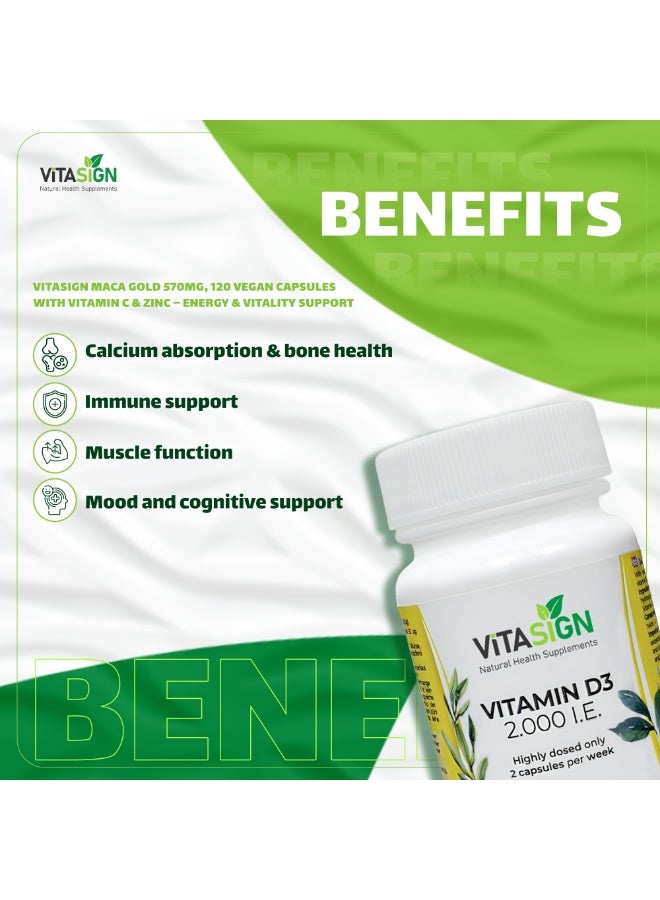 VITASIGN Premium Vitamin D3 2,000 IU, 90 Capsules – Bone & Immune System Support - Image 5