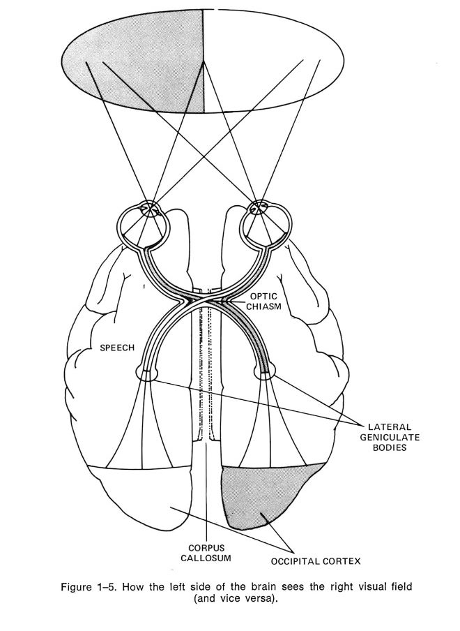 Introduction to Artificial Intelligence: Third Edition