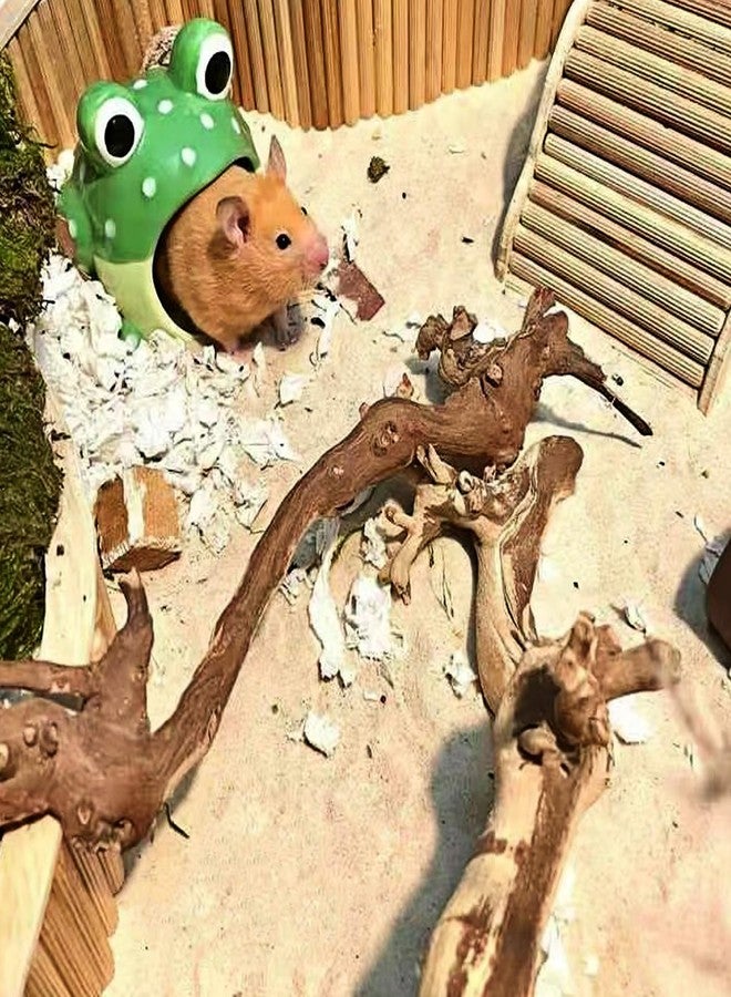 دكتور دودو رمل استحمام الهامستر من دكتور دودو، 2.8 رطل، رمل صحراوي خالٍ من الغبار أو رمل فضلات للحيوانات الأليفة مثل الهامستر والشنشيلة والجرذان والفئران السورية والحيوانات الصغيرة (بيج، رائحة زهور) - Image 4