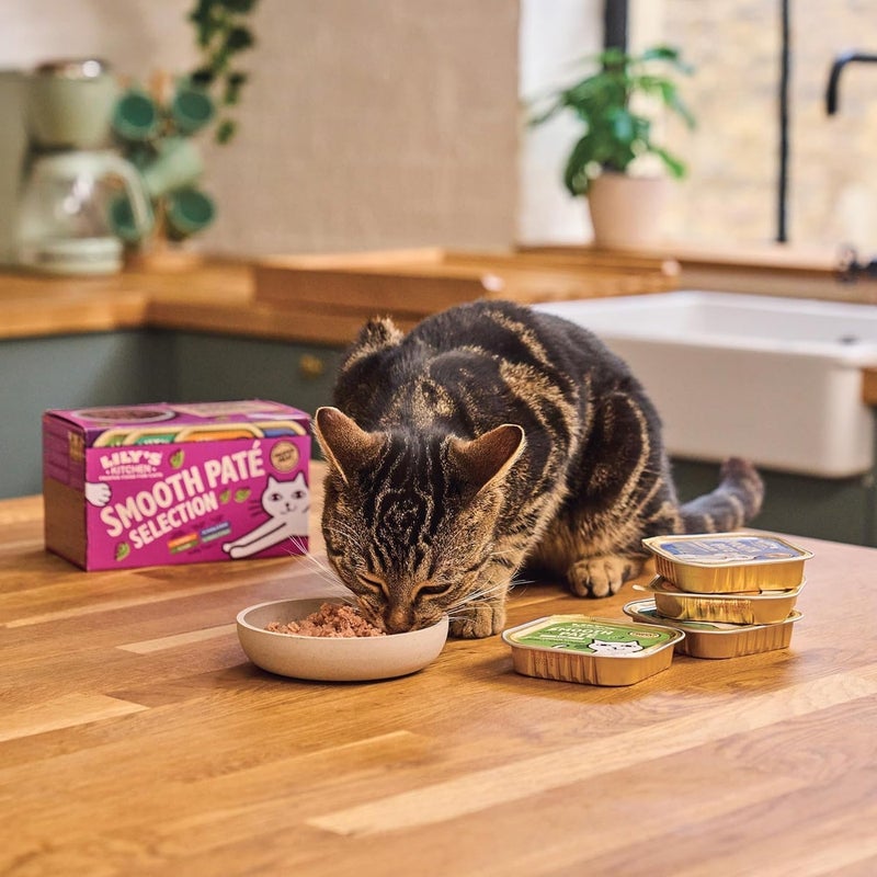 Lily's Kitchen Chicken Paté Wet Cat Food - 85G - Image 4