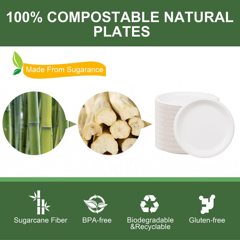 WELLIFE 10 Inch Paper Plates  125-Pack 100% Compostable Heavy Duty Disposable Plates Bulk  Biodegradable Bagasse  Eco-Friendly  PFAS-Free | BPI Certified | Microwaveable - Image 3