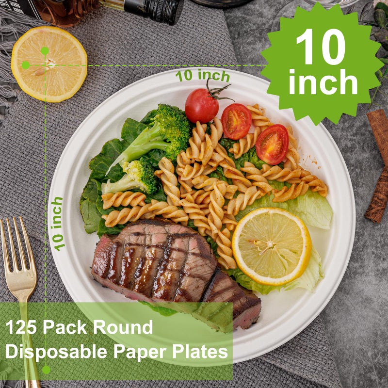 WELLIFE 10 Inch Paper Plates  125-Pack 100% Compostable Heavy Duty Disposable Plates Bulk  Biodegradable Bagasse  Eco-Friendly  PFAS-Free | BPI Certified | Microwaveable - Image 1