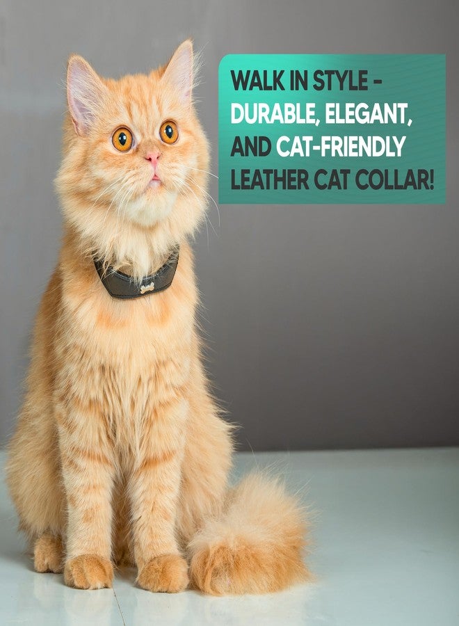 ADIL'S Adil’S Leather Cat Collar - Stylish Single Bone Studded Design, Breakaway Soft pet Collar, Adjustable Metal Buckle with Strong D-Ring for Leash attachments for Outdoor Adventures (Black) - Image 3