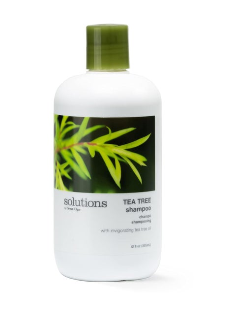 GREAT CLIPS Solutions Tea Tree Shampoo 12 fl oz | Natural Dry Scalp & Dandruff Treatment with Invigorating Essential Oils | Nourish and Stimulate Scalp | For All Hair Types