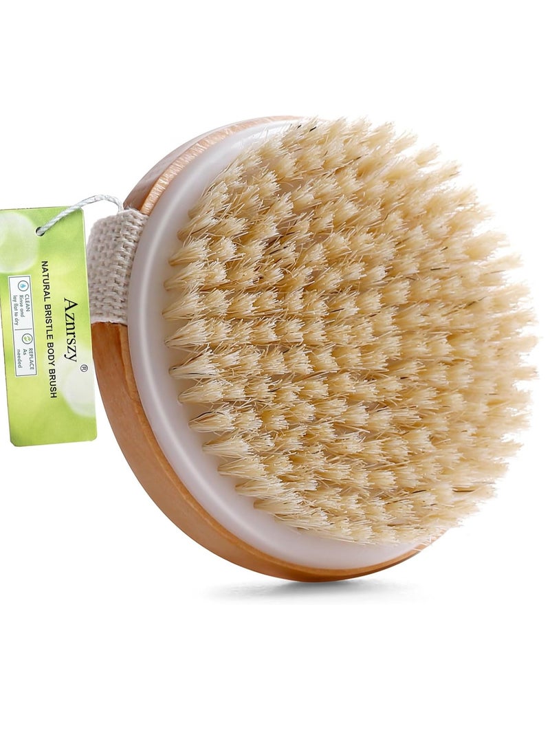 Zaboon Brushing Body Brush For Lymphatic Drainage Cellulite Bath Body Wash Brush For Cleansing And Exfoliating Showering Natural Wood Size 10.5X10.5Cm Round - Image 1