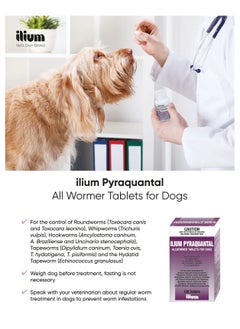 TROY | ILIUM Pyraquantal Allwormer for Dogs – Broad Spectrum Worm Treatment – 100 Tablets - pzsku/Z6D7C05F41ACBC7CFA8A0Z/45/_/1731842794/6f910c21-aa36-455b-aba2-8f345808308c