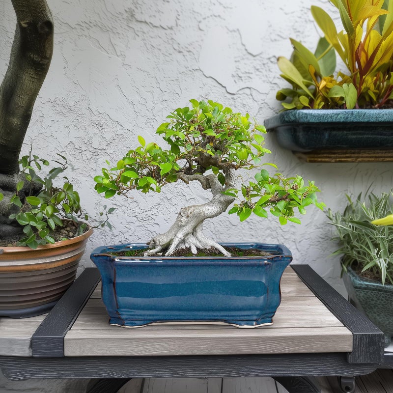 Teagas Bonsai Pots 11.6 Inch - Ceramic Succulent Pots with Drainage Hole, Rectangular Planter for Indoor Outdoor, Decorative Ceramic Flower Pot, Home Garden Room Decor, Plant Lover Gifts, Retro Blue - Image 3